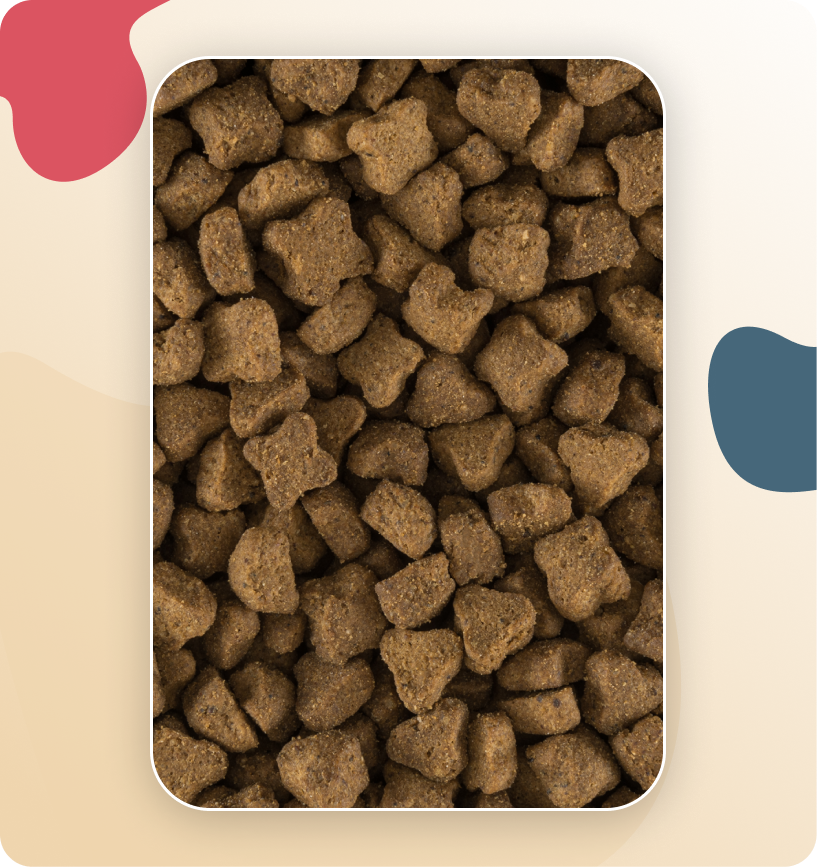 Iso-Cat Grain Free Pork & Peas All Breeds