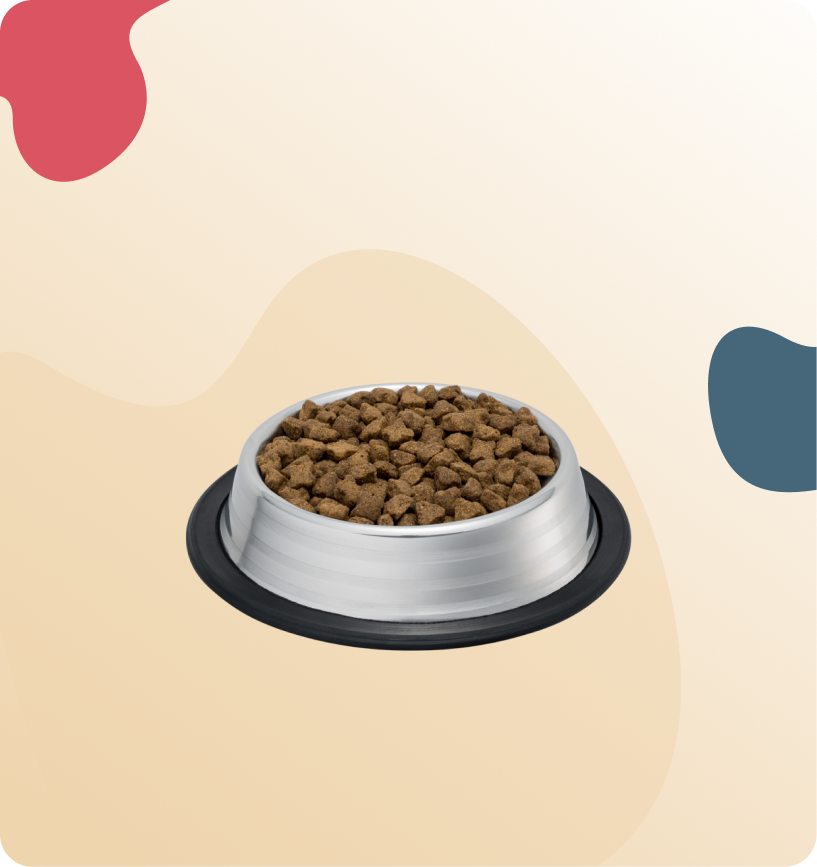 Iso-Cat Grain Free Pork & Peas All Breeds