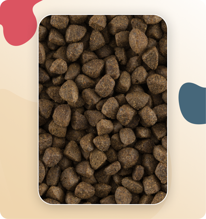 Iso-Cat Senior Grain Free Fish & Potato