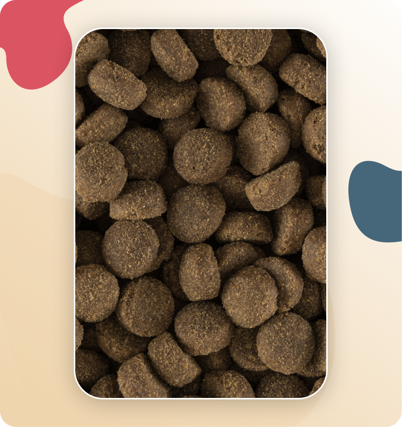 Iso-Dog ADULT Crackers Small & Medium