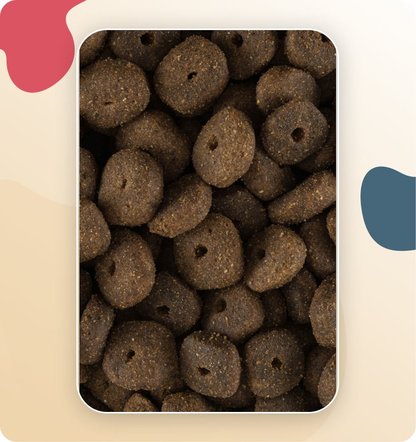 Iso-Dog JUNIOR Crackers Large & Giant 12kg