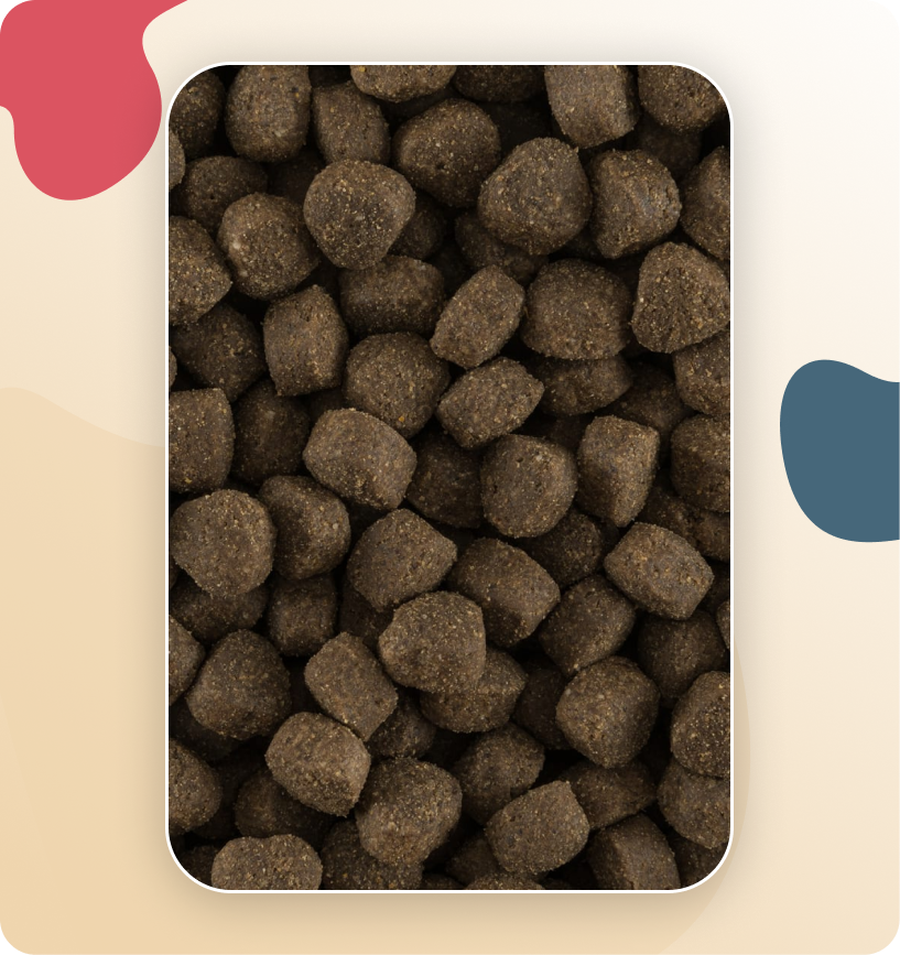 Iso-Dog Essential Adult Sensitive Lamm 14 kg