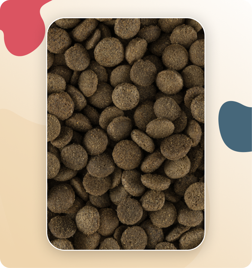 Iso-Dog Adult Sensitive Lamb & Rice Mini Breeds 3 KG