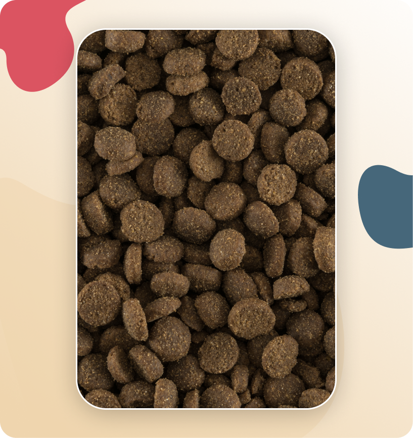 Iso-Dog Junior Crackers Chicken Small & Medium