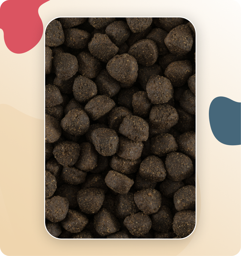 Iso-Dog ADULT GRAIN FREE Rabbit & Potato Mini & Small 3KG