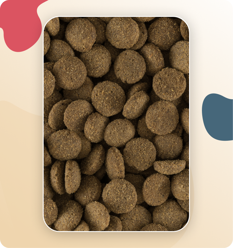 Iso-Dog Adult Light -Sterilised rich in Turkey & Rice