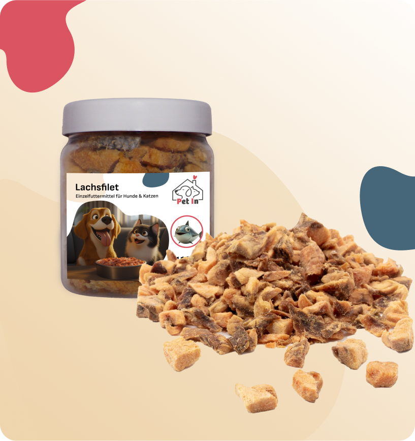 BARF SNACK | Lachsfilet gefriergetrocknet