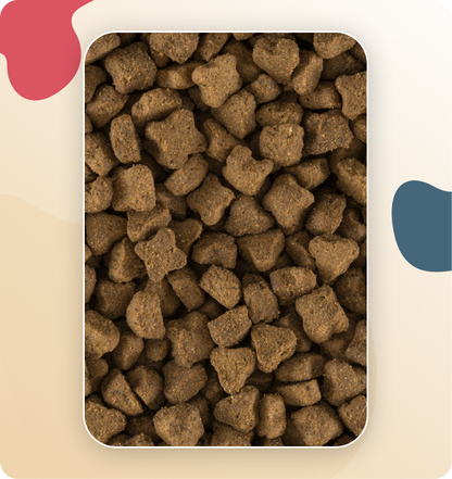 Iso-Cat Grain Free Pork & Peas All Breeds
