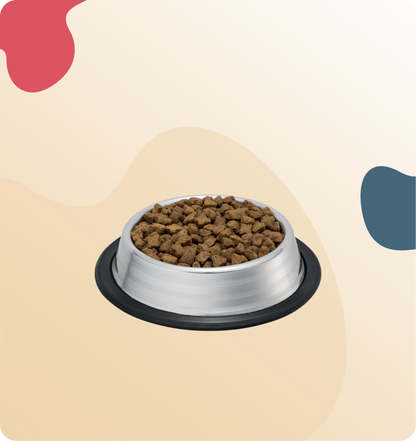 Iso-Cat Grain Free Pork & Peas All Breeds