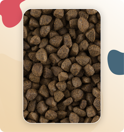 Iso-Cat Senior Grain Free Fish & Potato