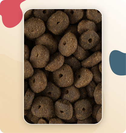 Iso-Dog JUNIOR Crackers Large & Giant 12kg