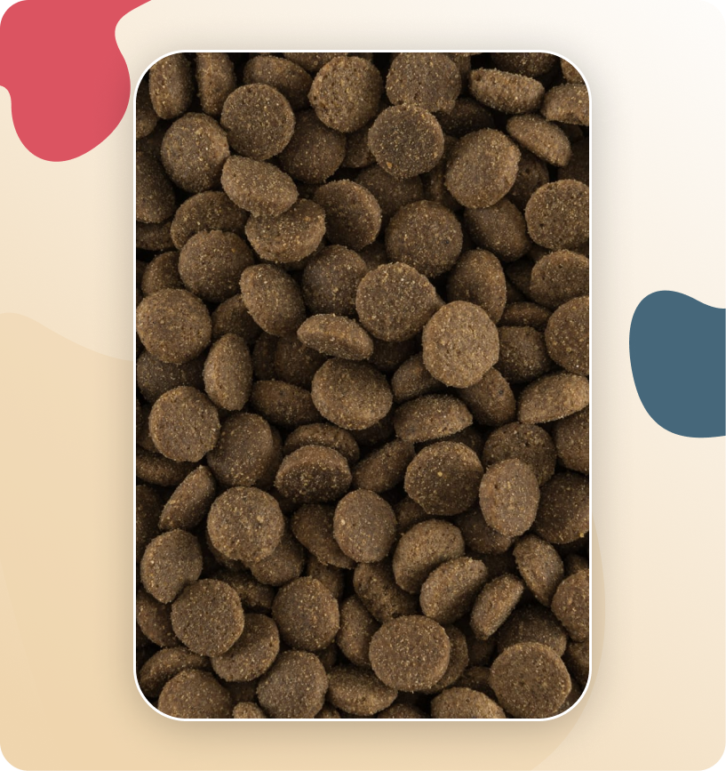 Iso-Dog Essential Adult Medium 14 KG