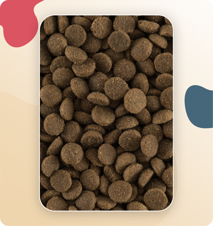 Iso-Dog Essential Adult Medium 14 KG