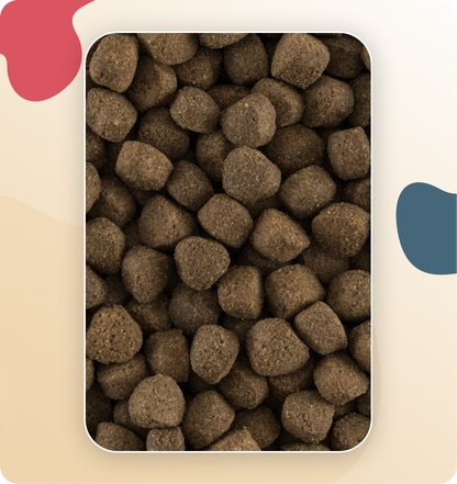 Iso-Dog Essential SENIOR / LIGHT 14 KG