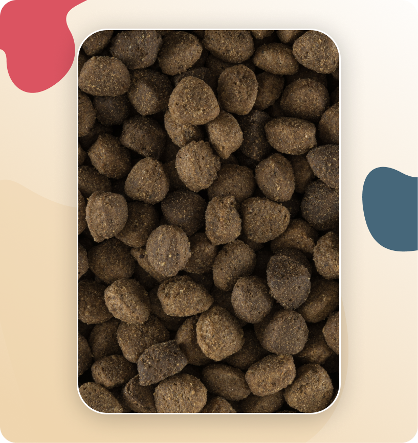 Iso-Dog ADULT GRAIN FREE Pork & Peas All Breeds